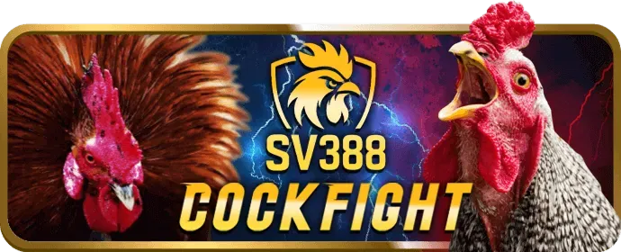 Chương Trình VIP và Phần Thưởng Độc Quyền VIP666